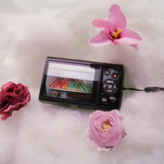 MintGear™ black canon ixus 190 digital camera