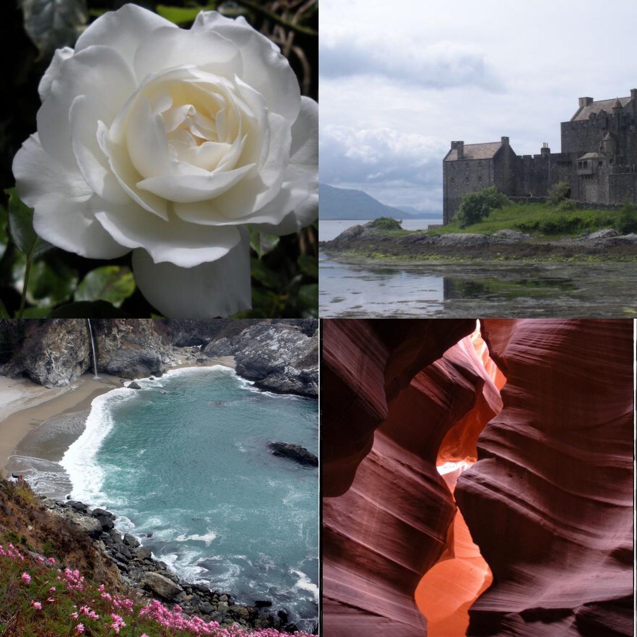 Nikon Coolpix S550 ultra compact digital camera.