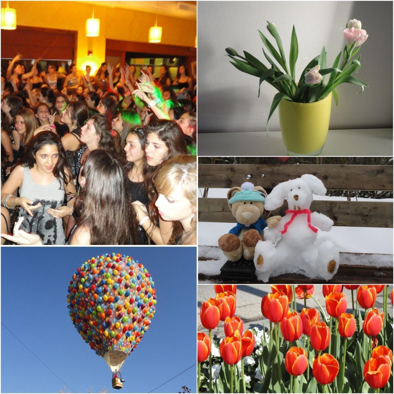 MintGear™ sony cybershot w350 digital camera