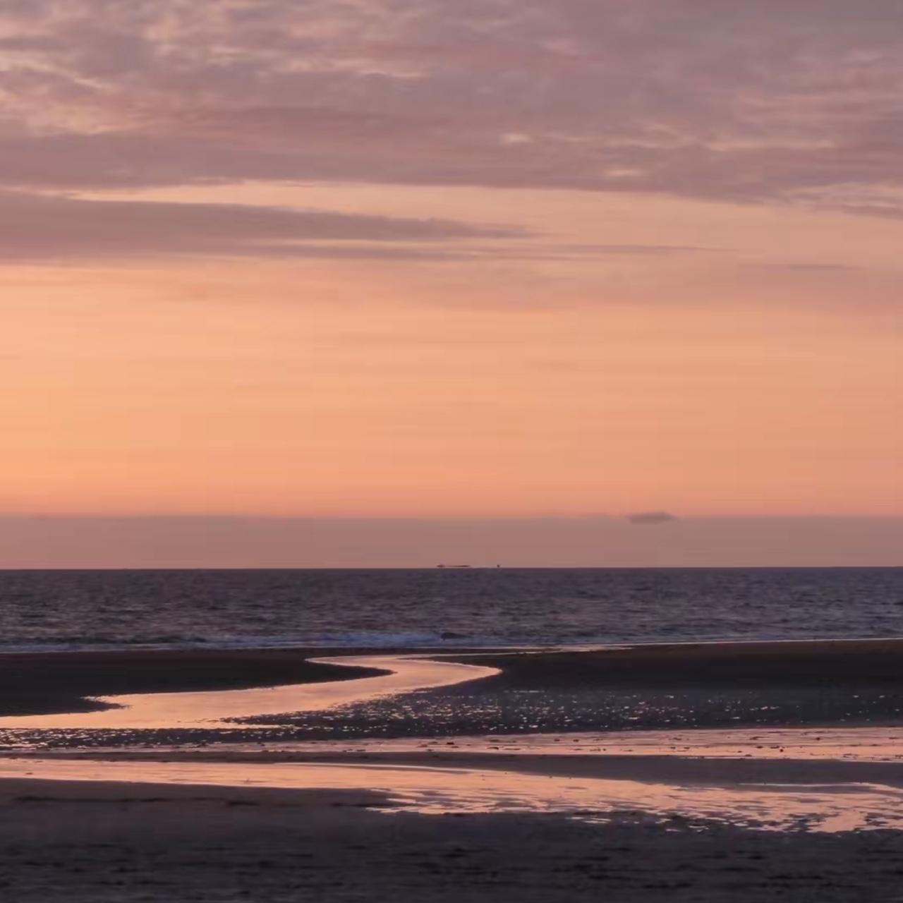 MintGear™ sony cyber shot dsc digital camera 10 2mp