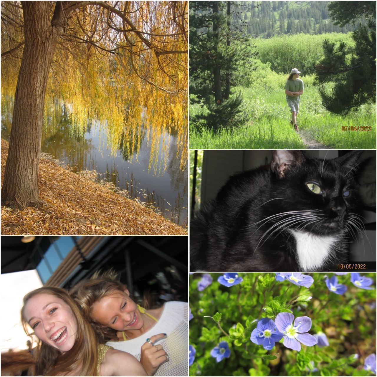 MintGear™ canon powershot a2200 digital camera