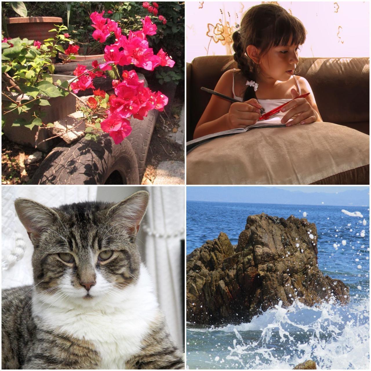 MintGear™ canon powershot elph 160 digital camera 🖇️