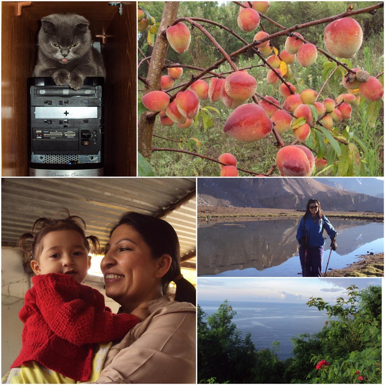 MintGear™ sony cybershot s930 digital camera