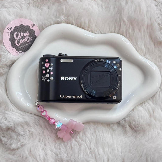 MintGear™ sony cyber shot dsc digital camera 10 2mp