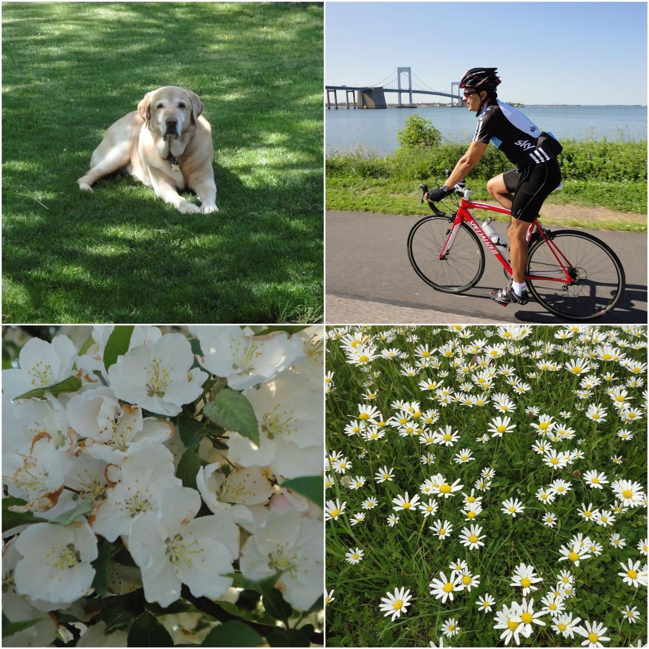 MintGear™ sony cybershot w560 digital camera