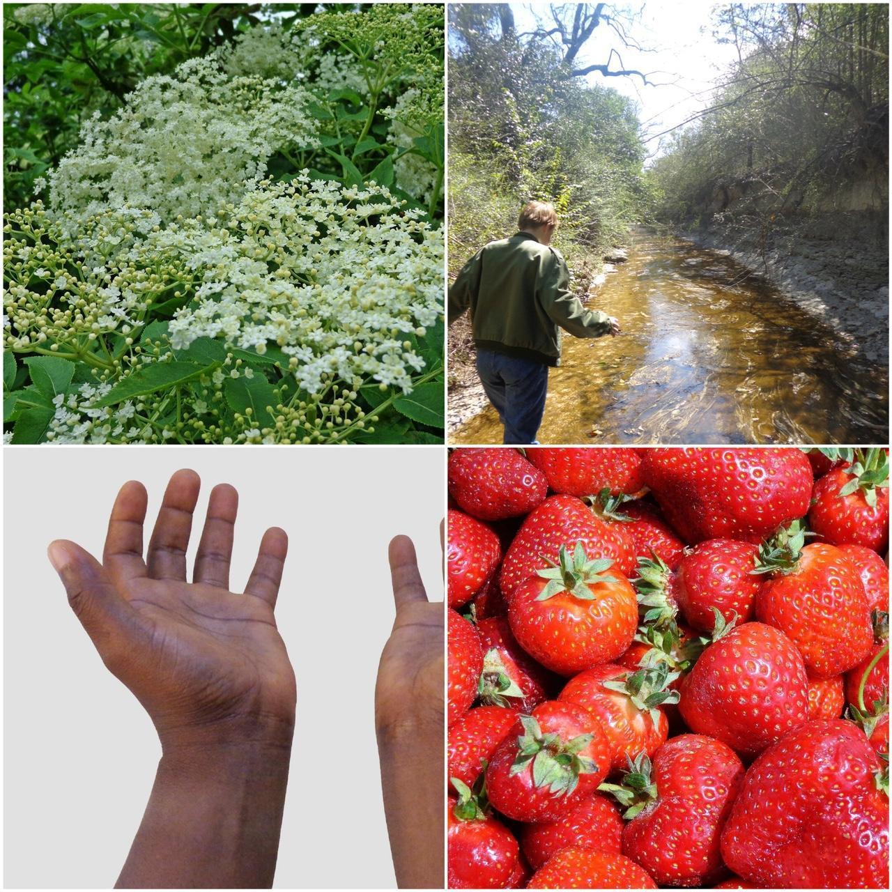 MintGear™ sony cybershot h90 digital camera